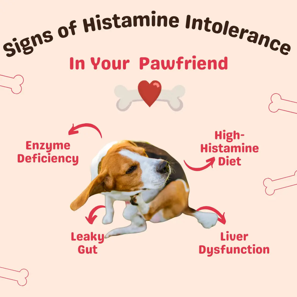 Histamine Intolerance