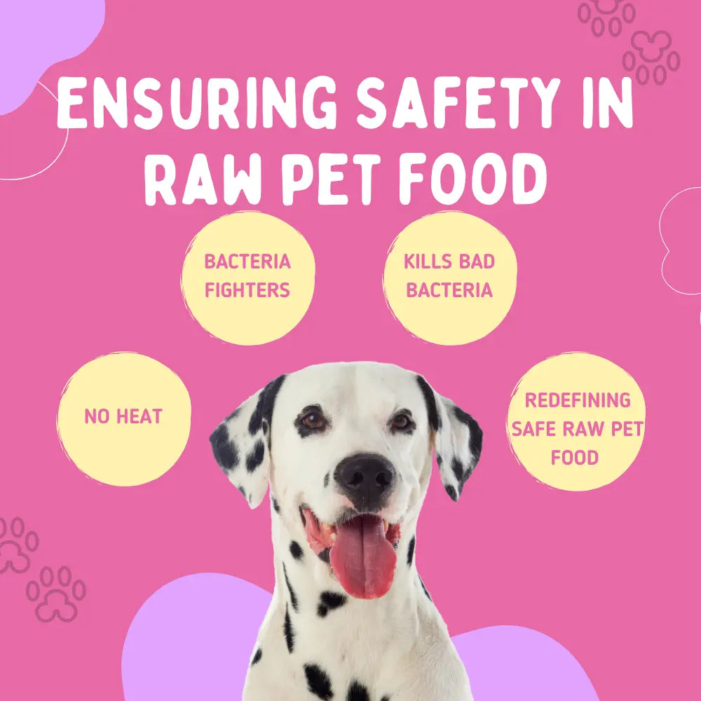 safe raw pet food