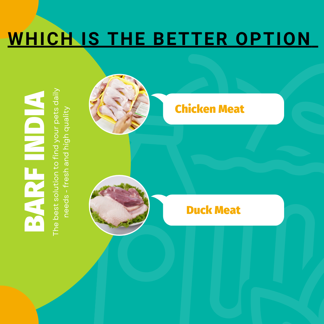 Is Duck meat a better option for your dog over Chicken Meat?