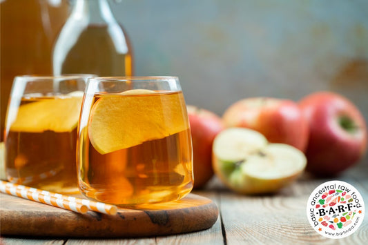 Apple Cider Vinegar for Dogs