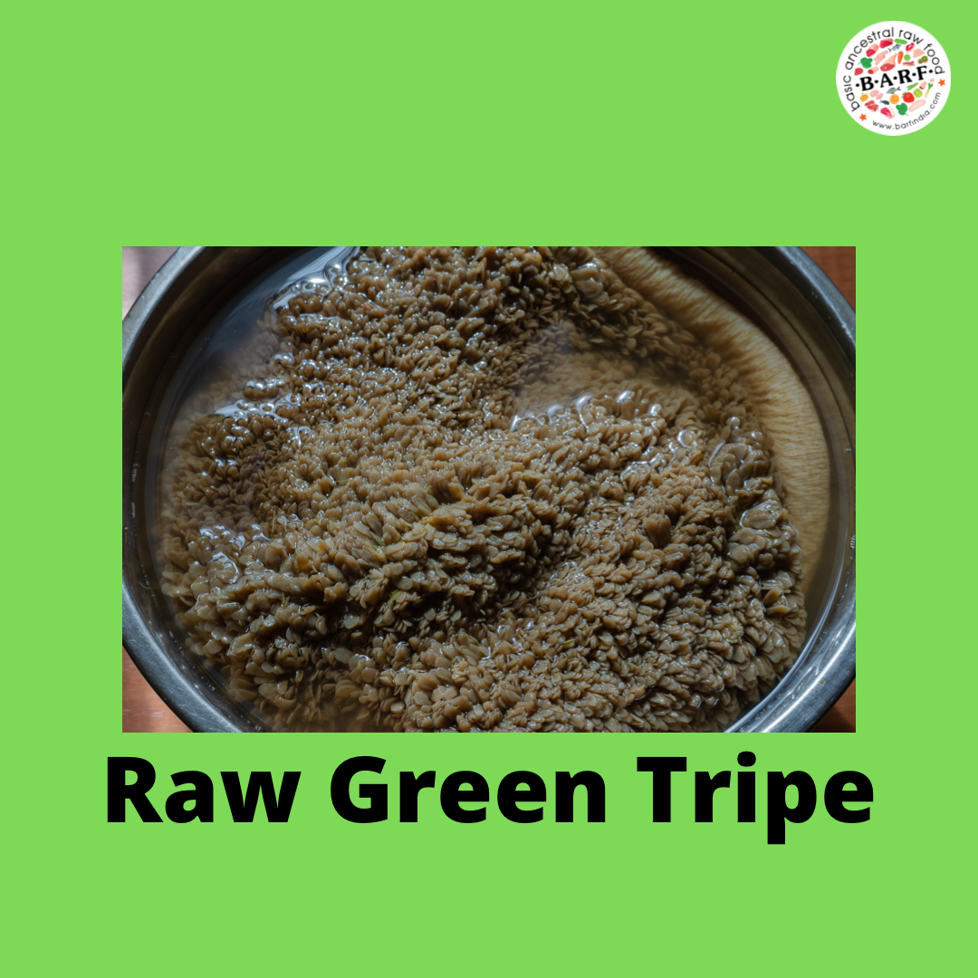 Raw Green Tripe