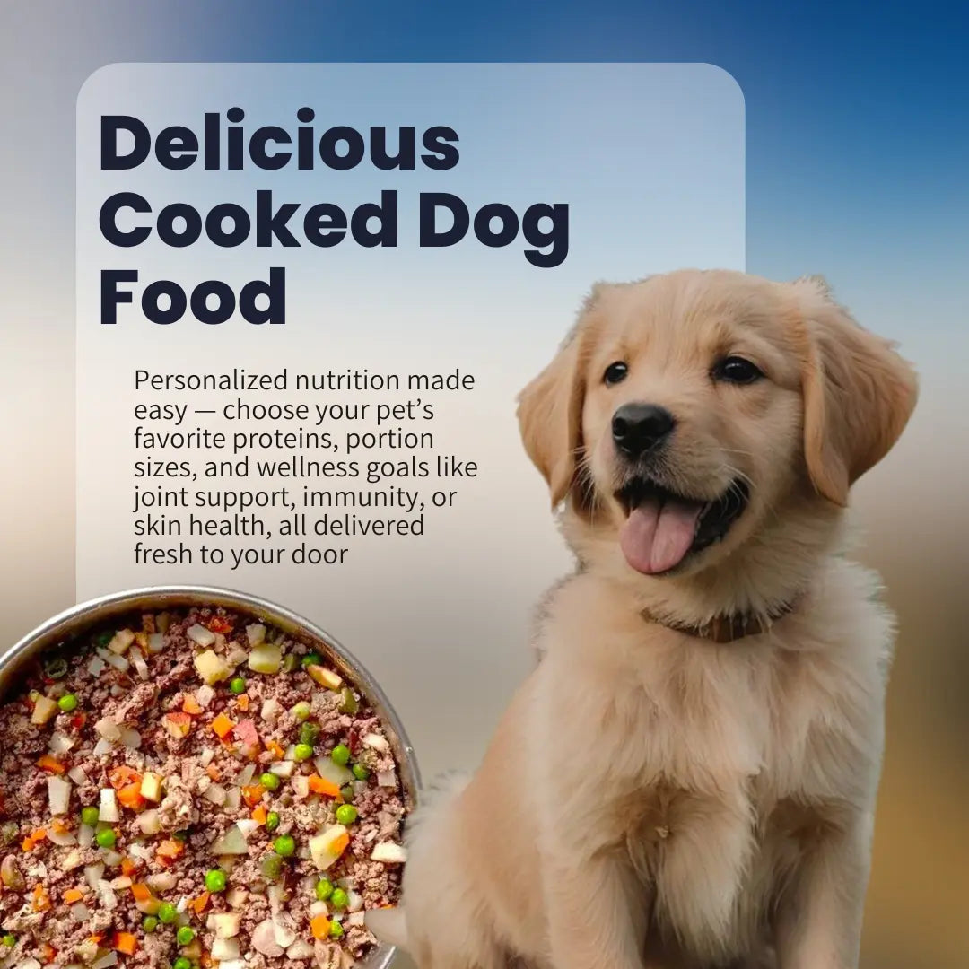 Cooked Dog Food 