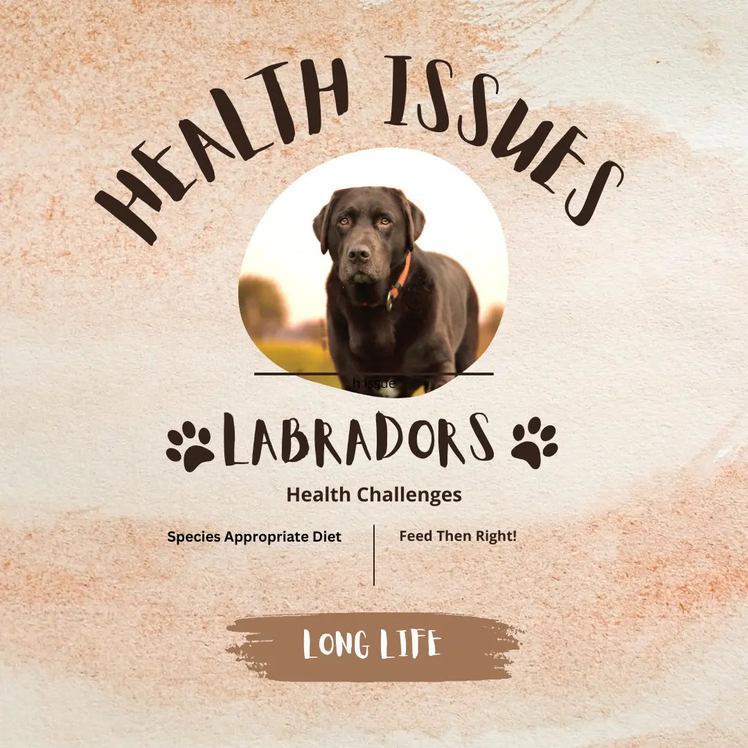 Air dried dog food  www.barfindia.com