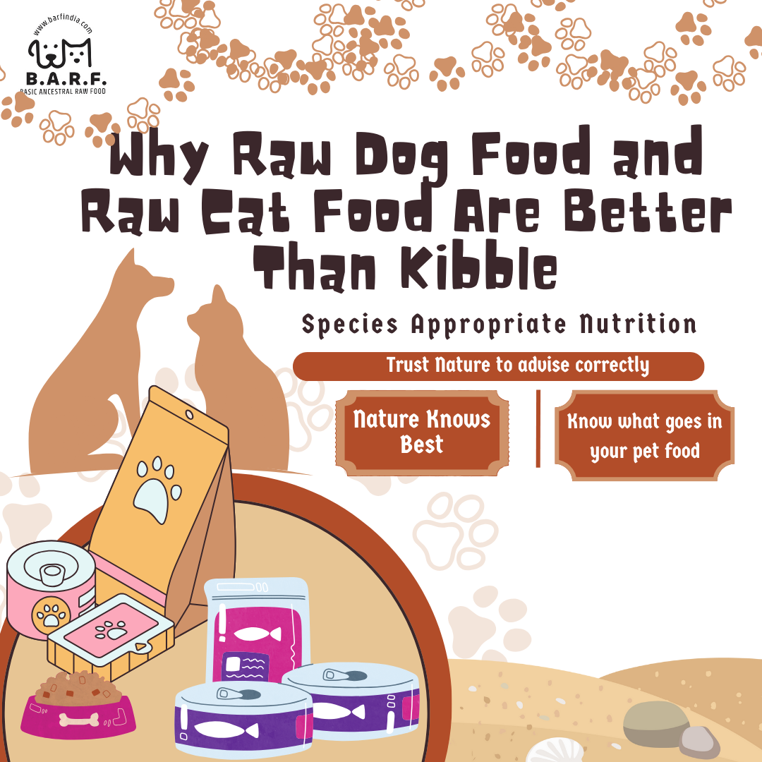 pet food better than kibble 