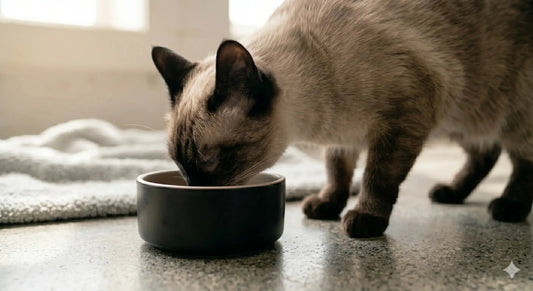 Raw Cat Food