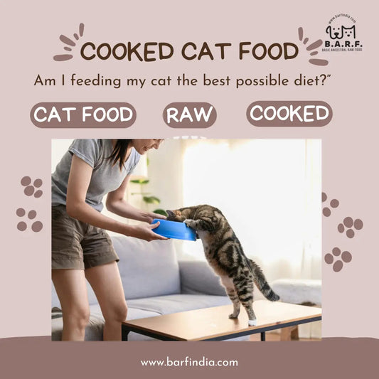 Cooked Cat Food
