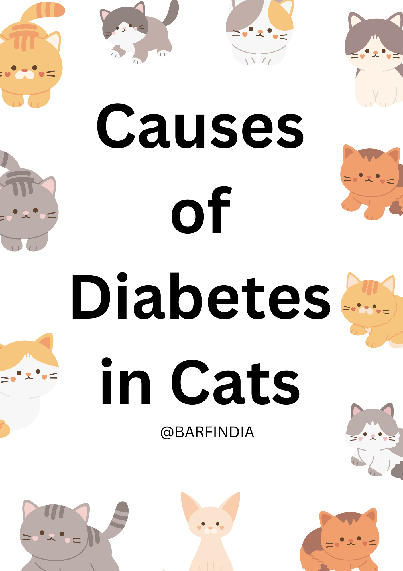 Causes of Diabetes in Cats www.barfindia.com