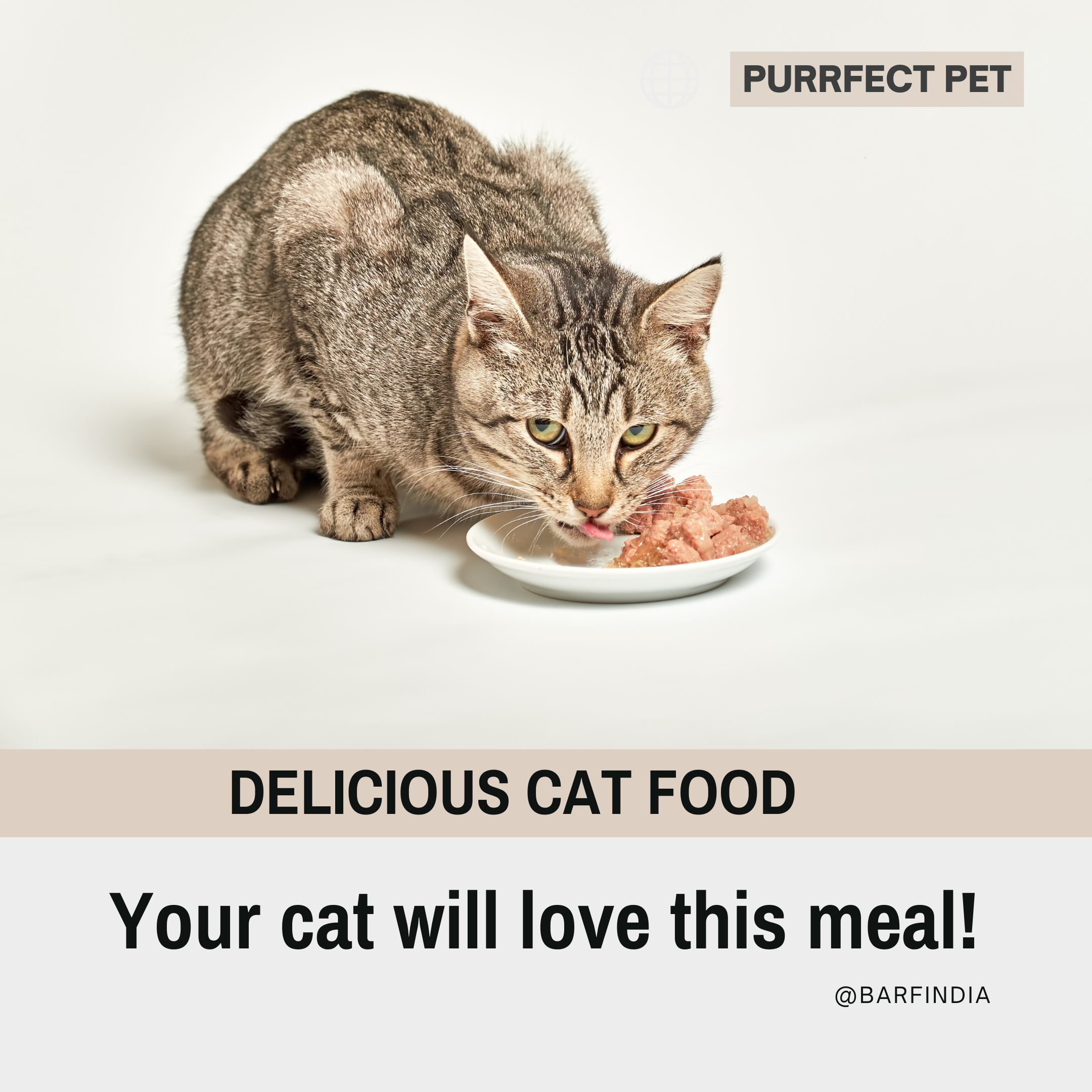 Raw Cat Food www.barfindia.com