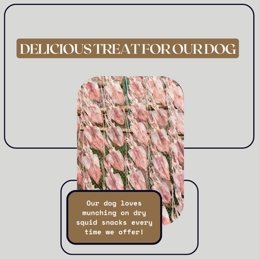 Dog Treats