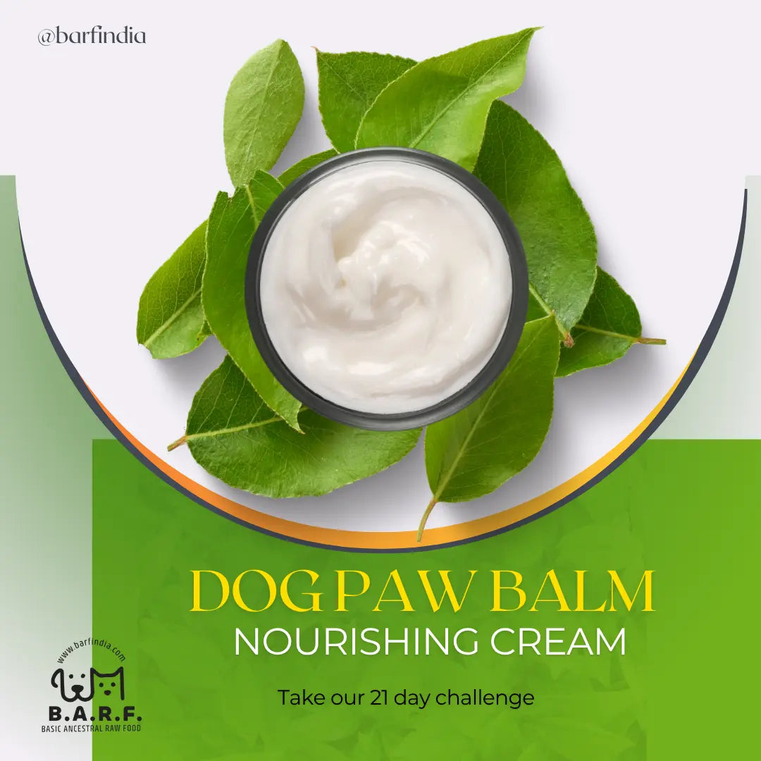 Dog Paw Cream www.barfindia.com