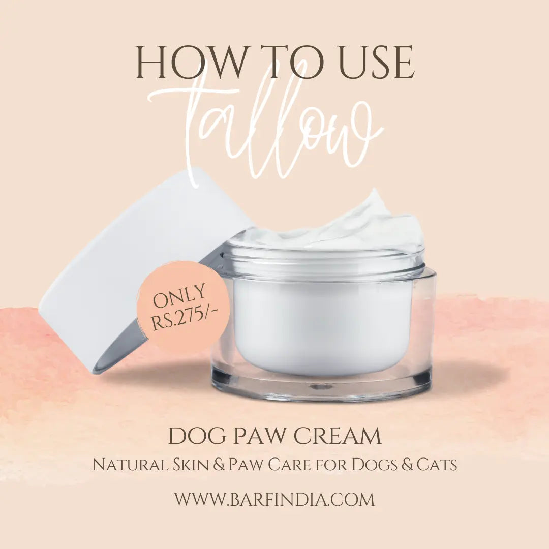 Dog Paw Balm