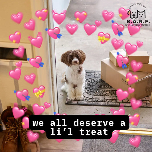 Dog Training Treats