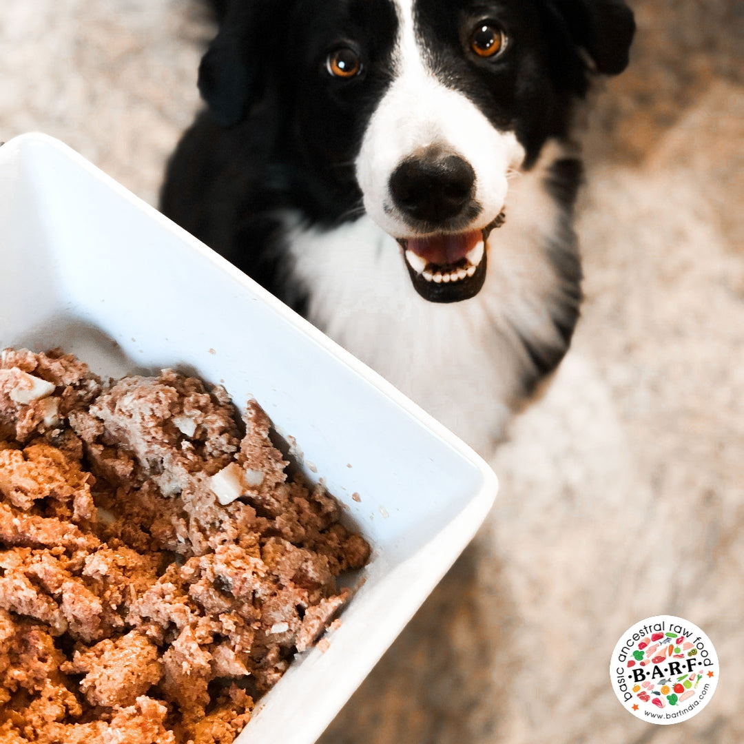 best meat for dogs