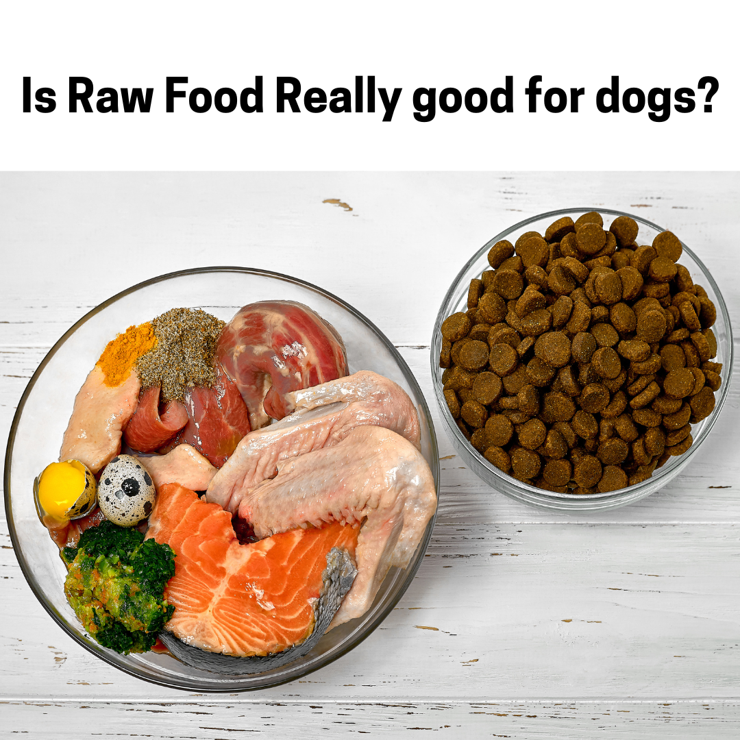 Raw Food for Dogs