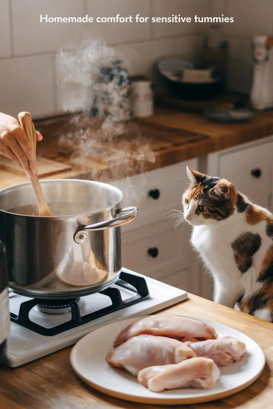 Cooked cat food