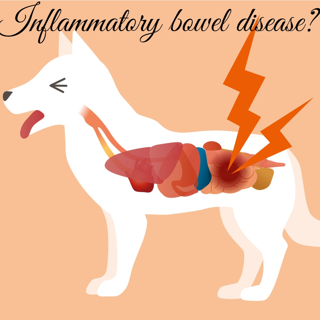 Inflammatory Bowel Disease