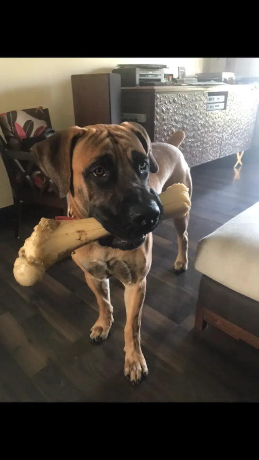 Chew bones