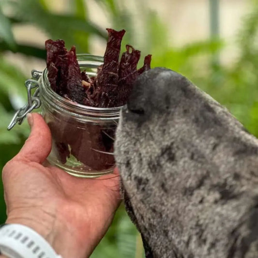 Dog Jerky Training Treats