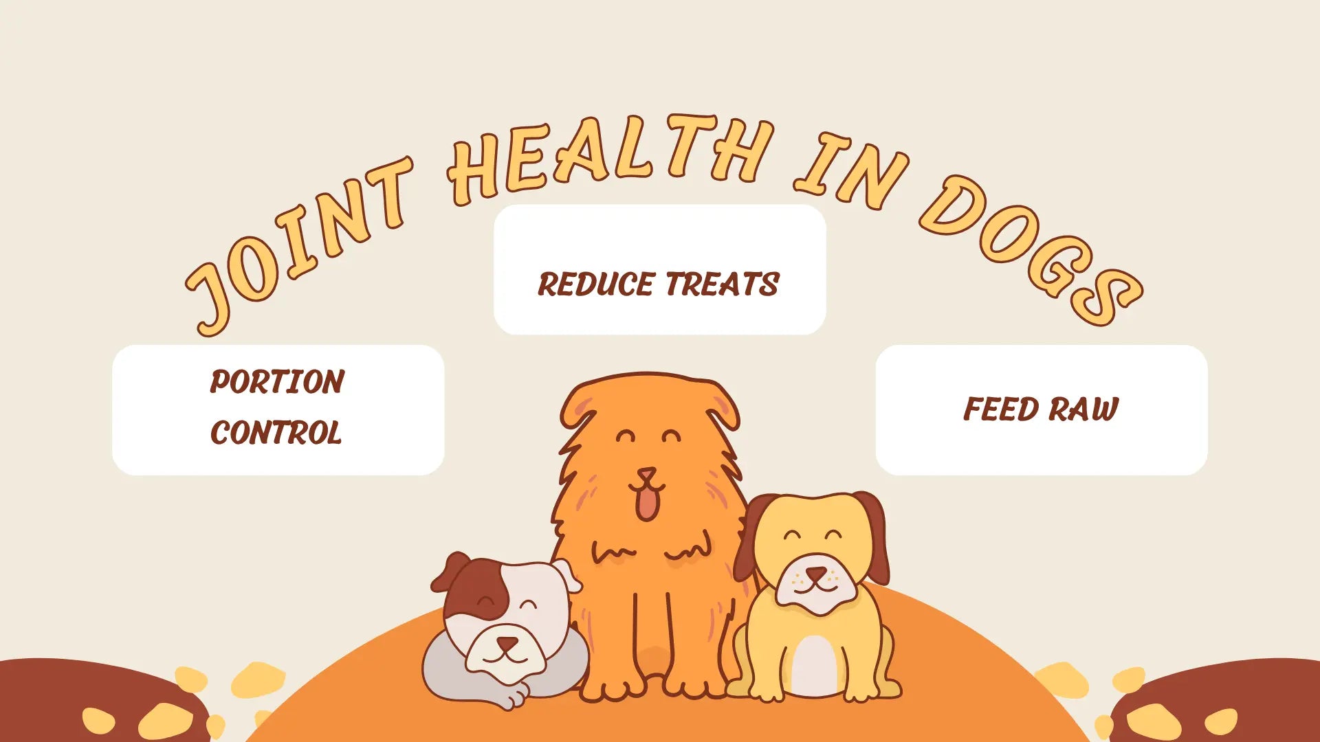 Joint Health in Dogs www.barfindia.com