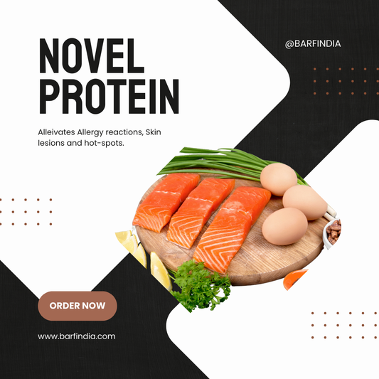 Novel Proteins