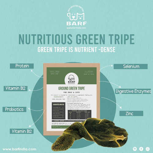 Raw Green Tripe for dogs