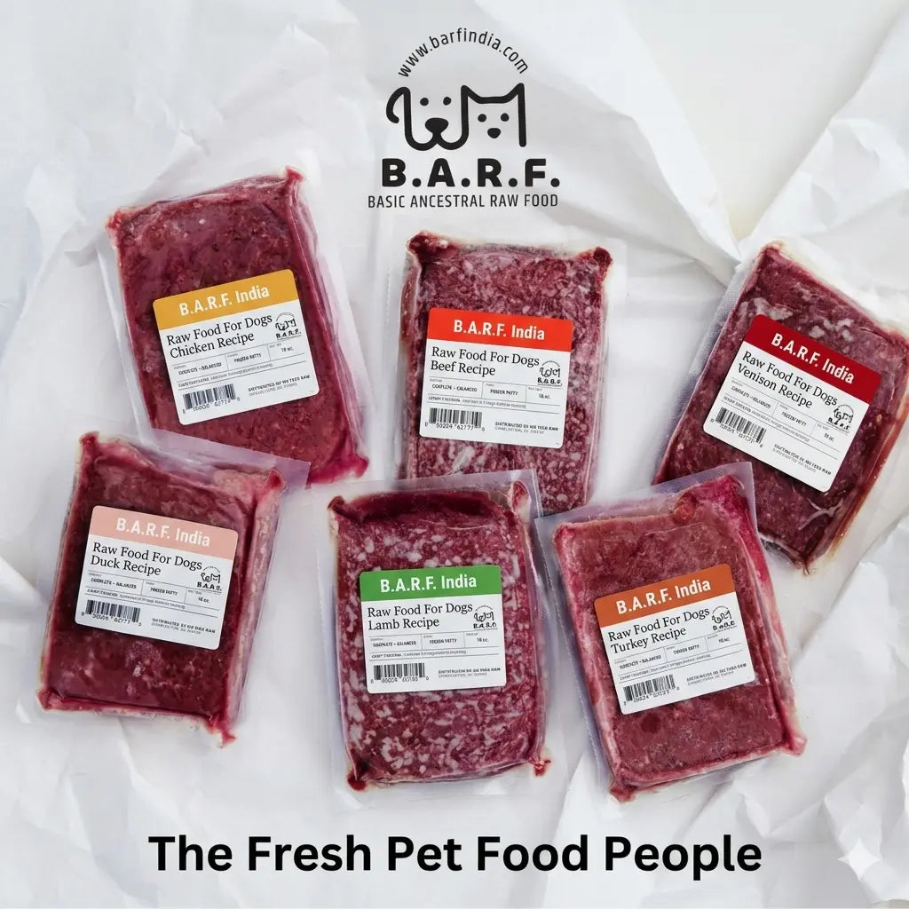 Benefits of raw dog food