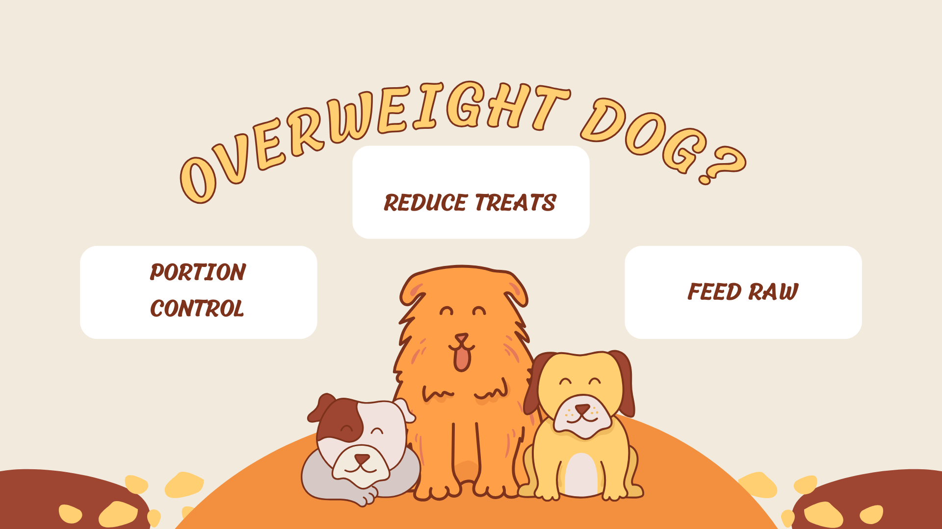 overweight dog www.barfindia.com