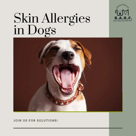 Skin allergies in Dogs