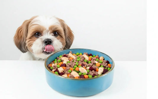 Feeding a Neutered Dog