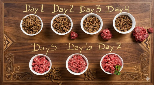 Transitioning to Raw Dog Food: The Ultimate Guide for 2026