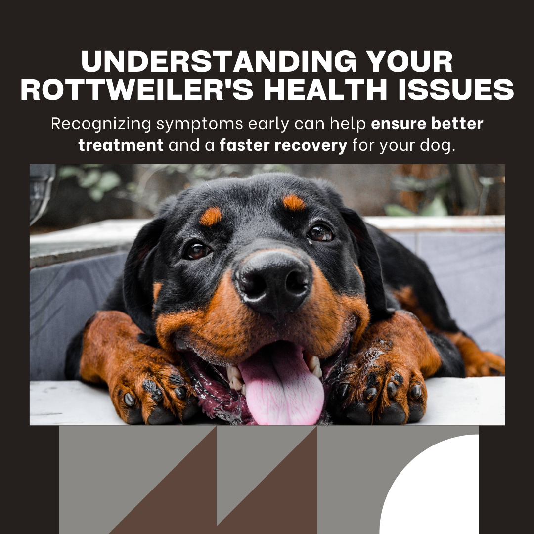 common health problems in Rottweilers