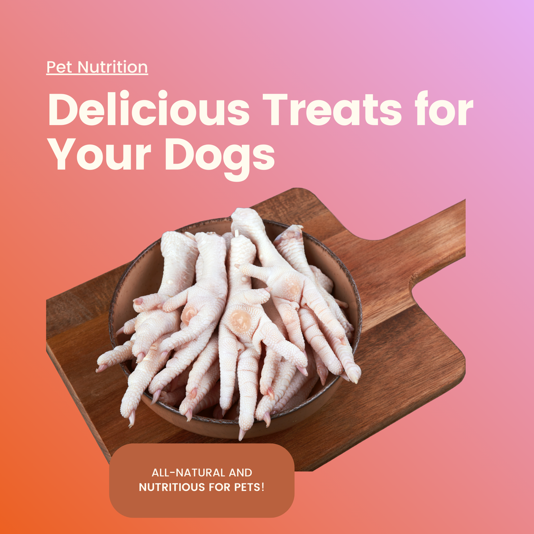 Find out if Chicken Feet are good for Dogs