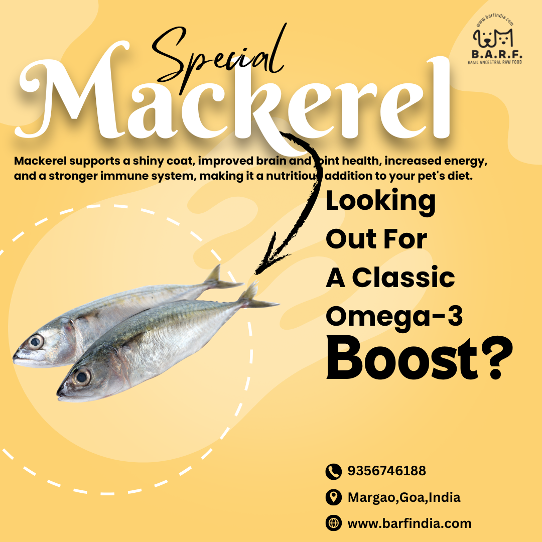 Mackerel