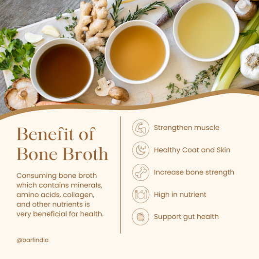 Bone Broth for dogs