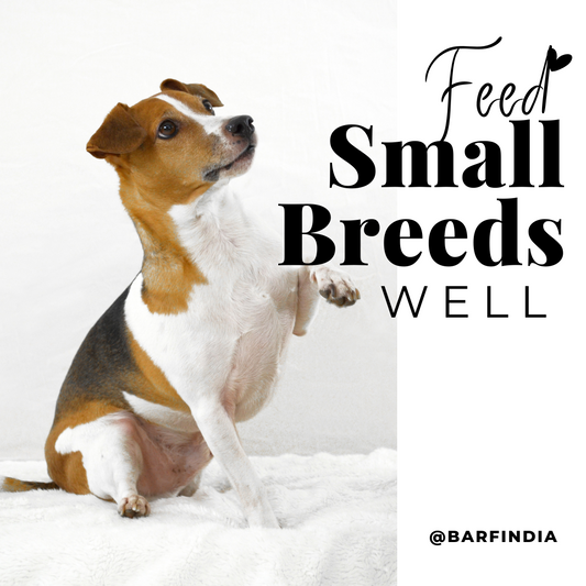 Raw Dog Food for small breeds