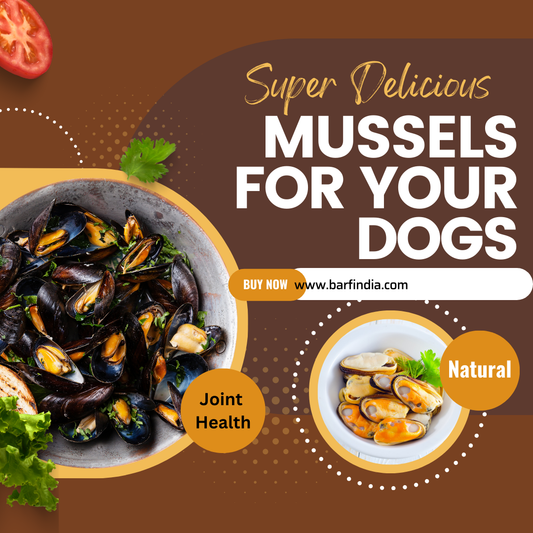 Green Lipped Mussels for dogs