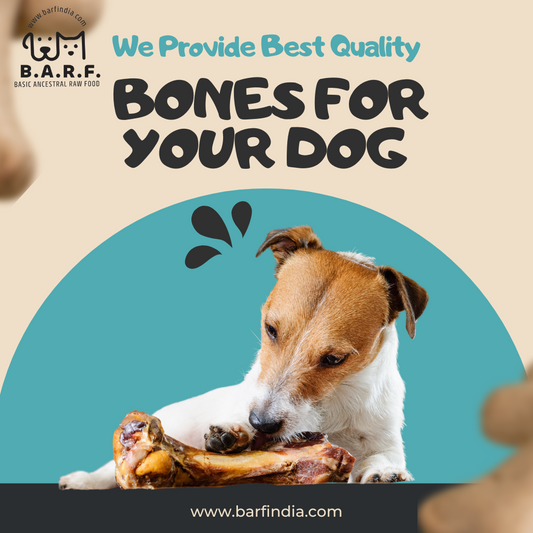 Bones for Dogs