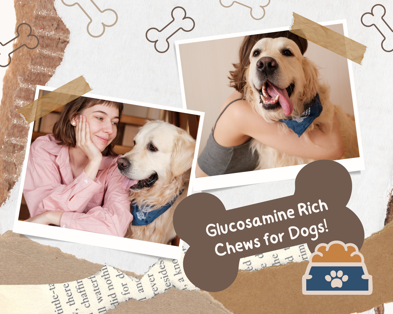 chews for dogs