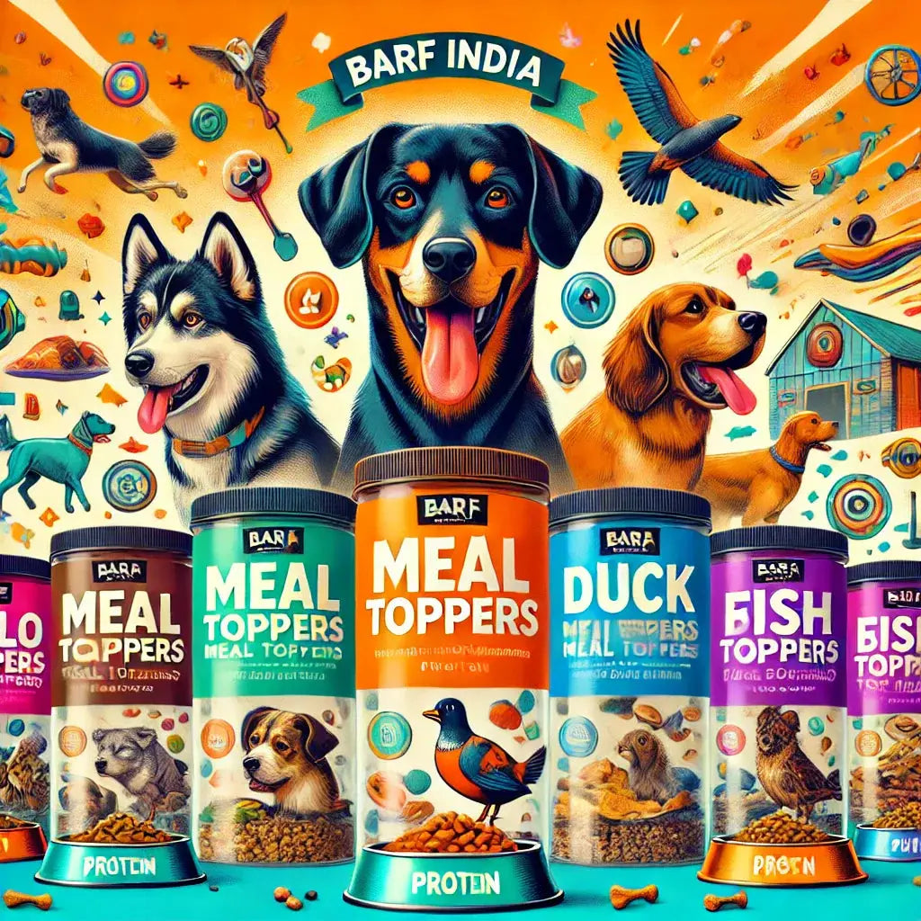 Food Toppers for Dog Meal Times: The Magical Garnish Enriching Canine