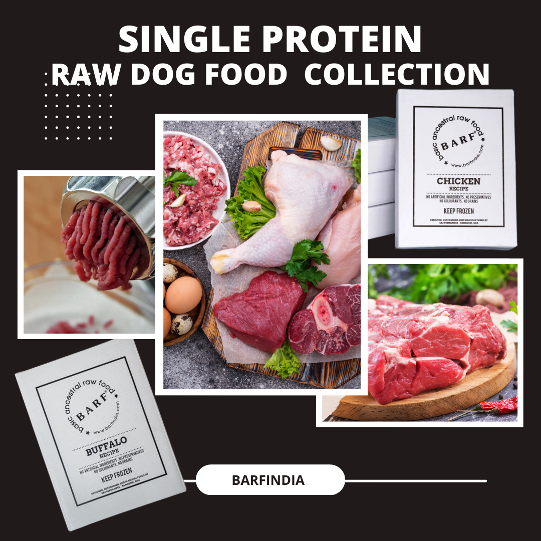 Raw Dog Food 