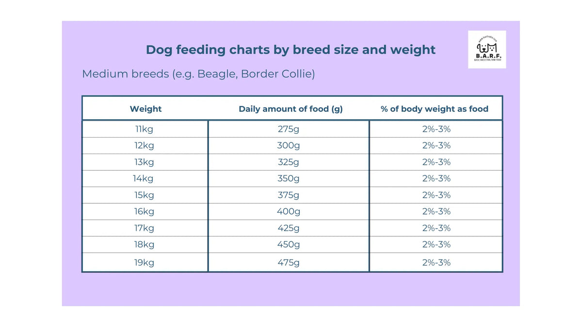 A chart shows daily raw dog food amounts for medium breeds (11–19kg) like Beagle, using Raw Dog Food - Buffalo Recipe 4kgs from www.barfindia.com. Made with pasture-raised buffalo; feed 2%-3% of the dog's body weight per day.