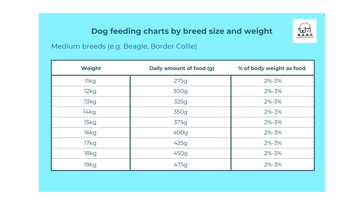 Table for daily feeding of medium breeds with Raw Dog Food – Lean & Hypoallergenic Pork Recipe (www.barfindia.com): 11kg dog needs 275g, 19kg needs 475g daily (2%-3% body weight); e.g., Beagle, Border Collie.