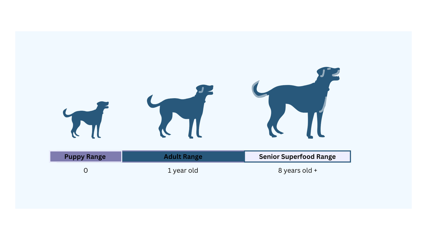 Raw Dog Food Chicken Recipe - 4kgs