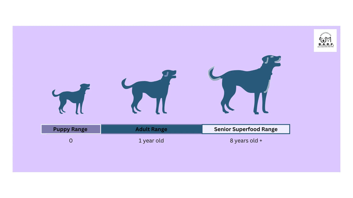 Three dog silhouettes in various sizes on a purple background showcase www.barfindia.com's Raw Dog Food - Buffalo Recipe 4 kgs, highlighting nutrition options for puppies, adults, and seniors.