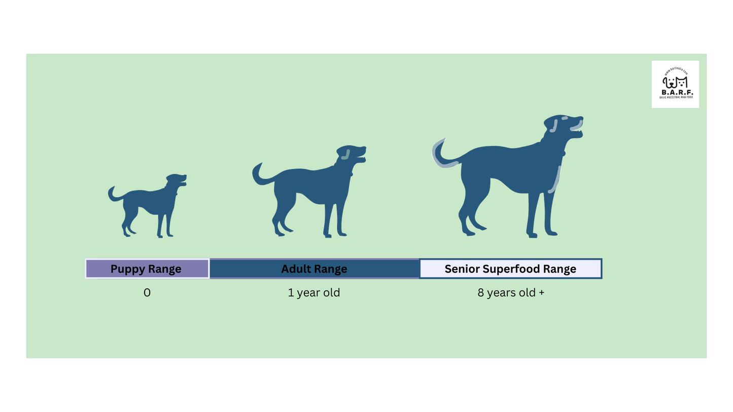 Raw Dog Food Duck Recipe - 4kgs