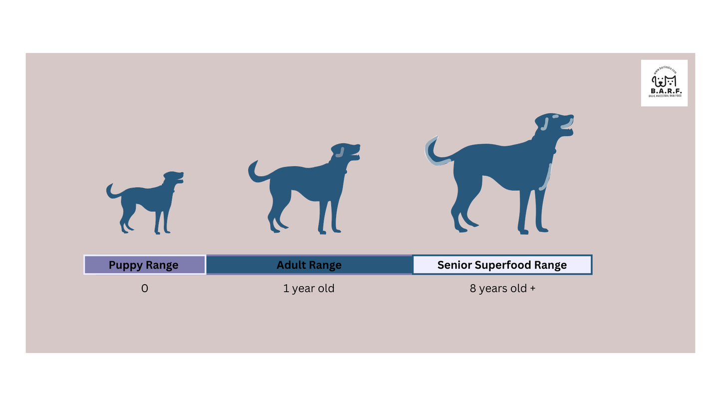 Raw Dog Food Lamb Recipe - 4kgs