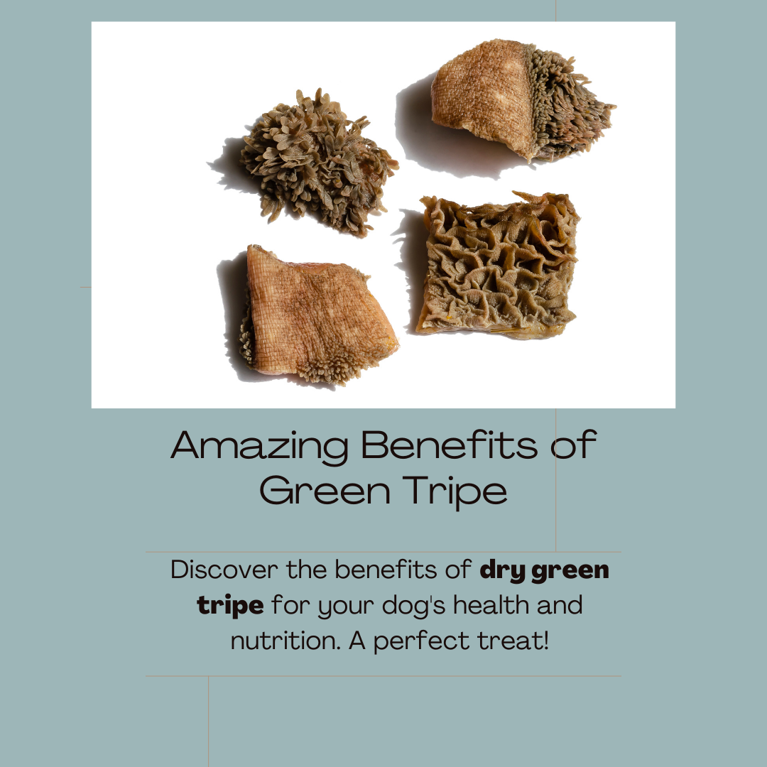 Green tripe