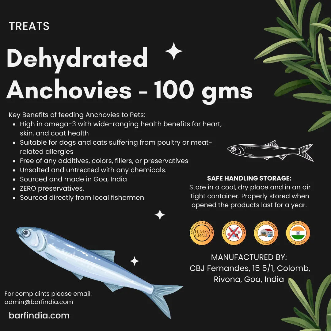 An infographic for Dog Treats Natural Omega 3 - Dehydrated Anchovies (100g) by www.barfindia.com, highlighting omega-3 benefits, zero preservatives, Indian sourcing, storage tips, contact info, plus fish and plant illustrations.