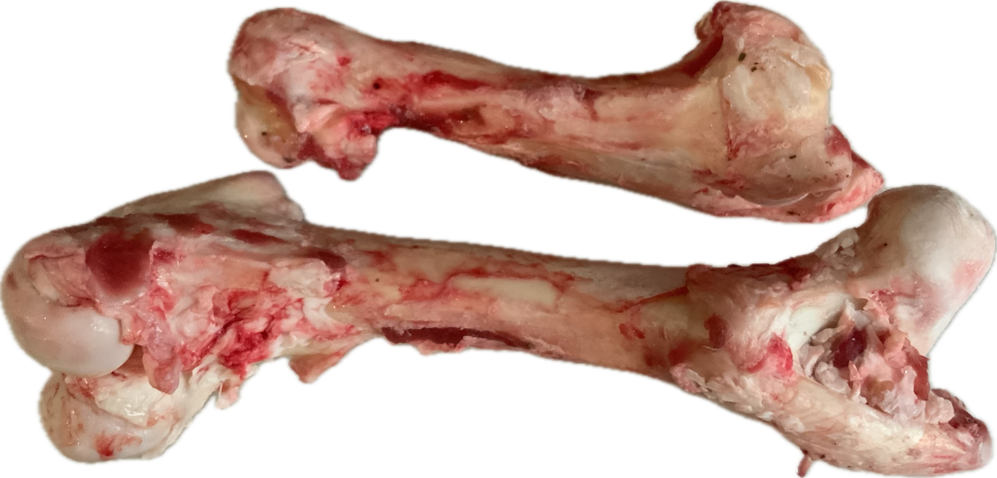 Chew Bone www.barfindia.com