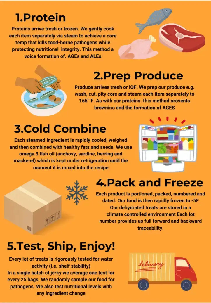 An infographic for www.barfindia.com’s Sampler Pack - Gently Cooked Cat Food shows five steps—Protein, Prep Produce, Cold Combine, Pack & Freeze, Test/Ship/Enjoy—with brief descriptions and illustrated icons for each.